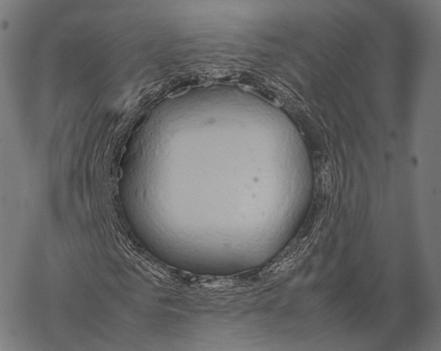 X0000067870961200605111755