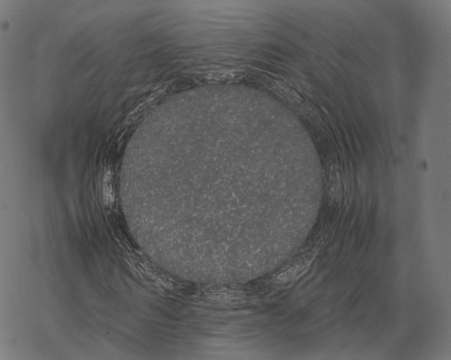 X0000067870962200605111755