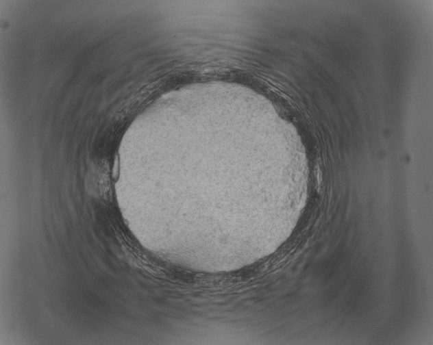 X0000067870963200605111755