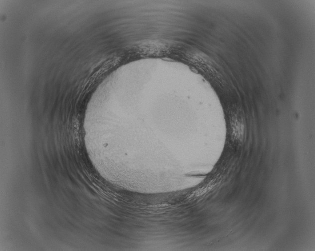 X0000067870964200605111755