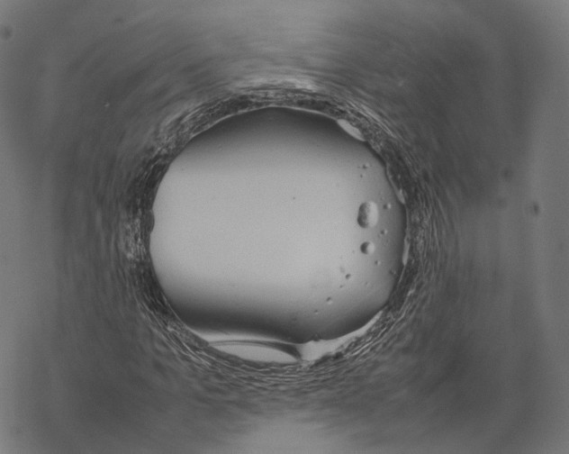 X0000067870965200605111755