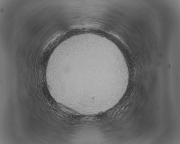 X0000067870967200605111755