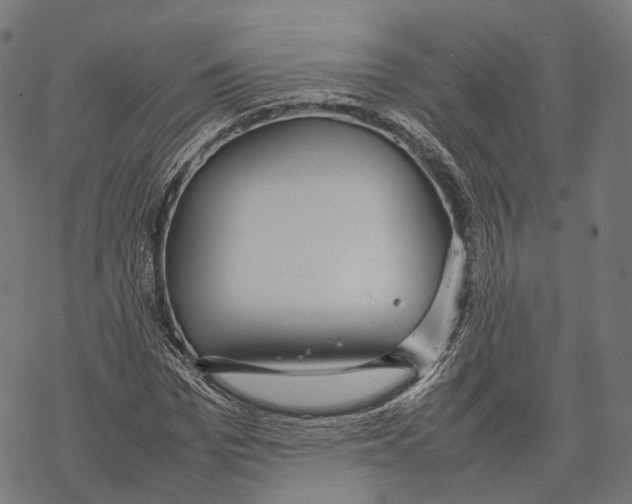 X0000067870969200605111755