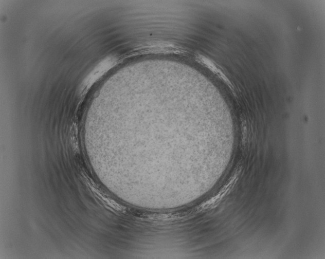 X0000067870970200605111755