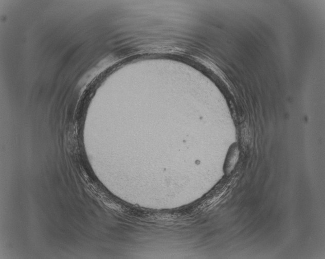 X0000067870971200605111755