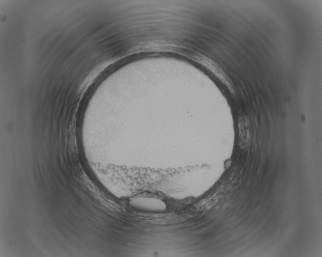 X0000067870972200605111755