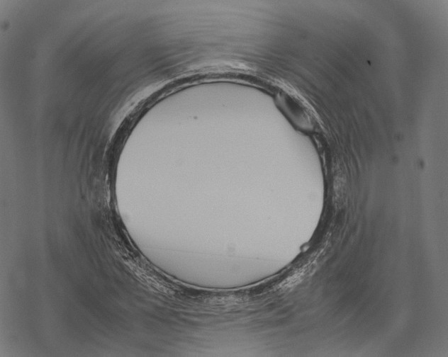 X0000067870973200605111755