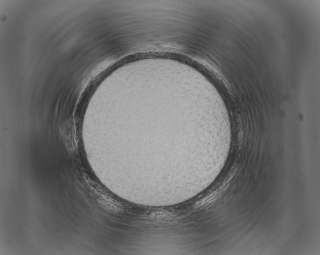 X0000067870974200605111755