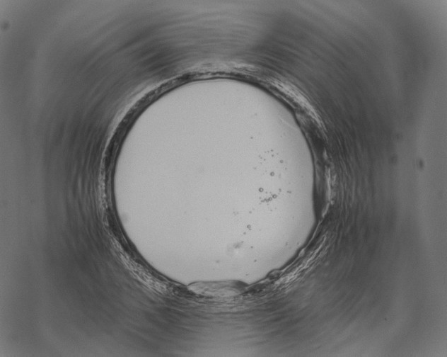 X0000067870976200605111755