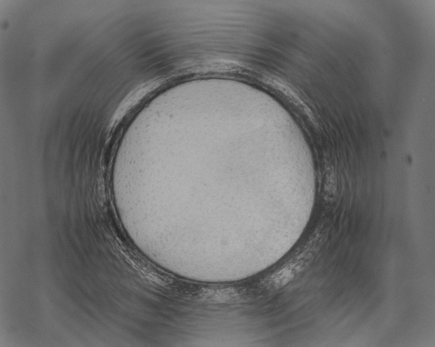 X0000067870978200605111755