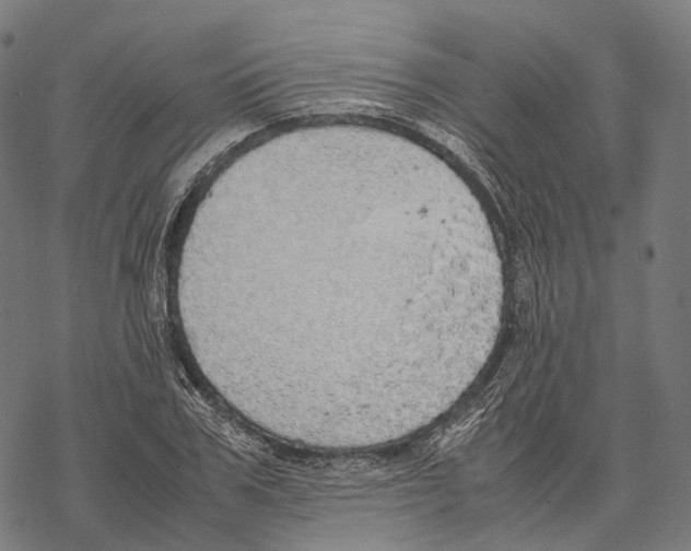 X0000067870979200605111755