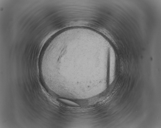 X0000067870980200605111755