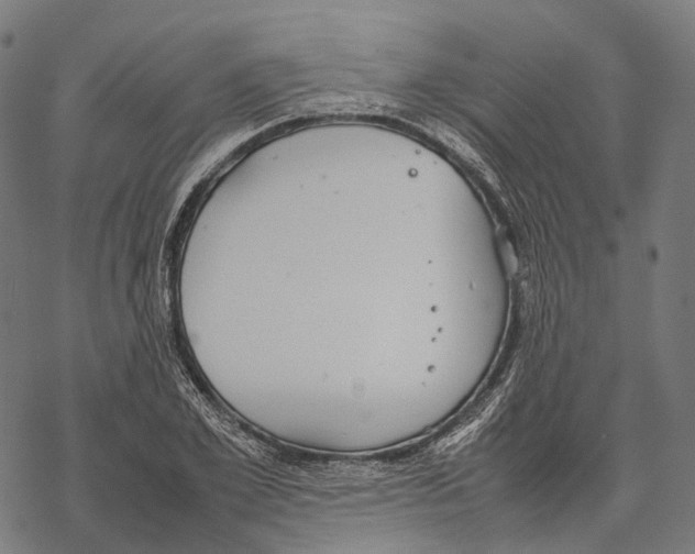 X0000067870981200605111755