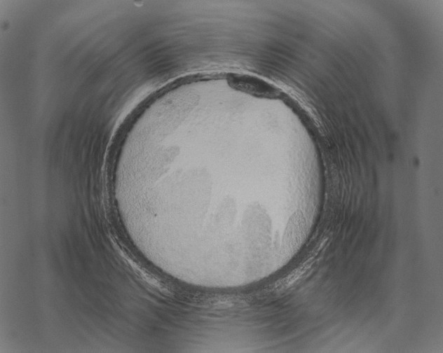 X0000067870982200605111755