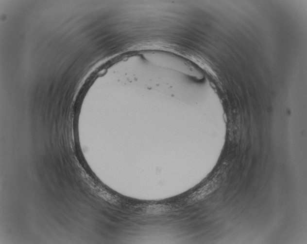 X0000067870984200605111755