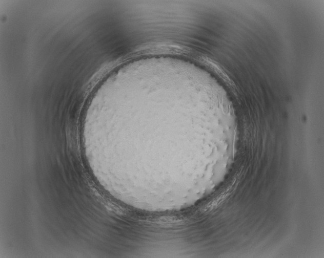 X0000067870986200605111755