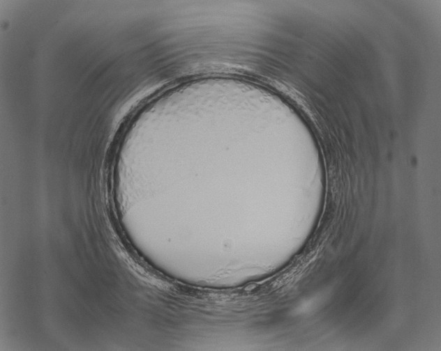 X0000067870987200605111755