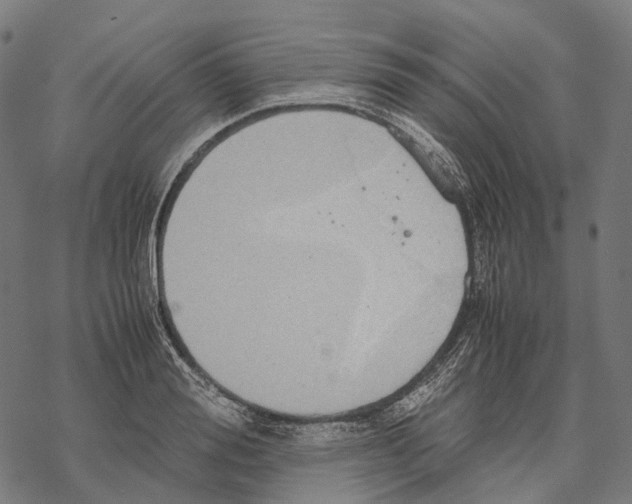 X0000067870988200605111755