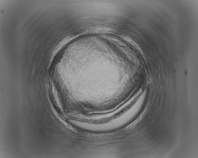 X0000067870989200605111755