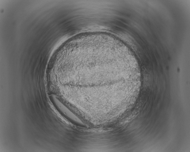 X0000067870990200605111755