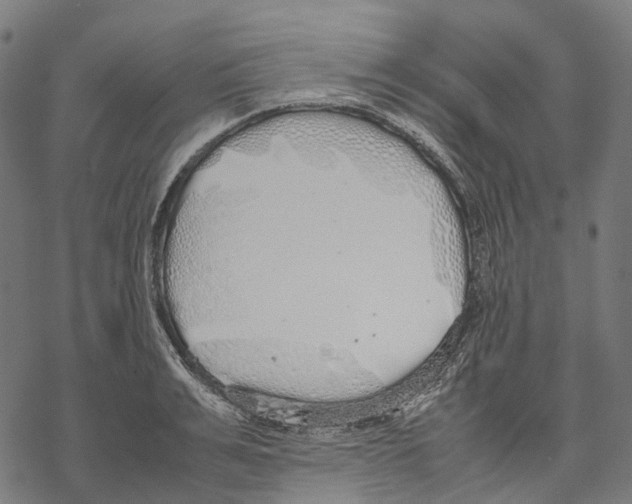 X0000067870991200605111755