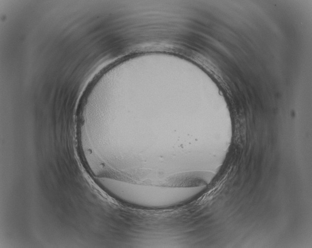 X0000067870992200605111755