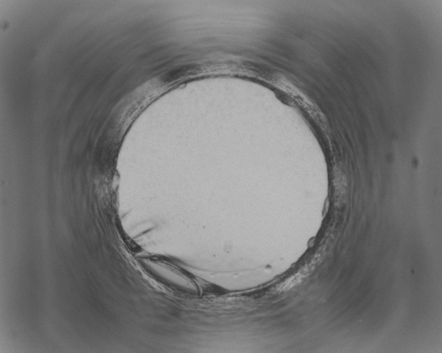 X0000067870993200605111755