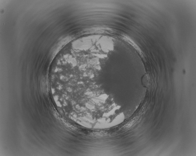 X0000067870994200605111755