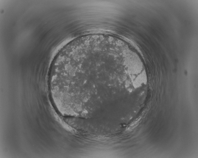 X0000067870995200605111755