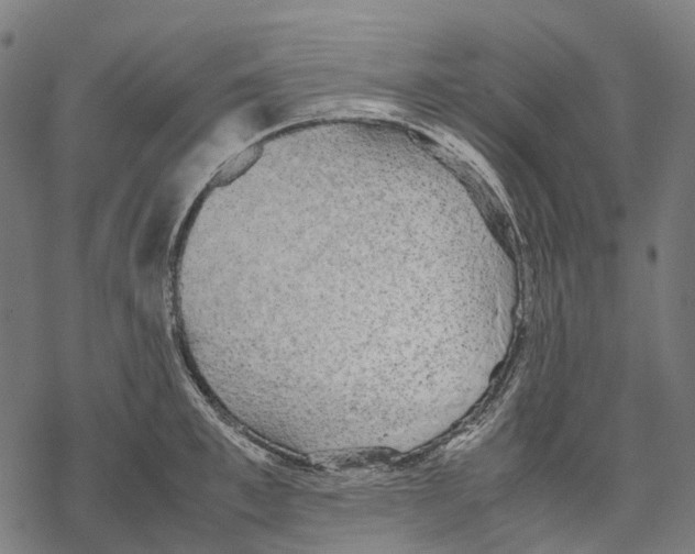 X0000067870997200605111755