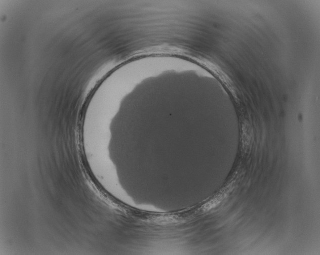 X0000067870998200605111755