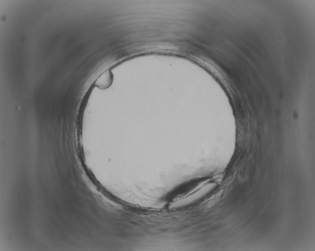 X0000067870999200605111755