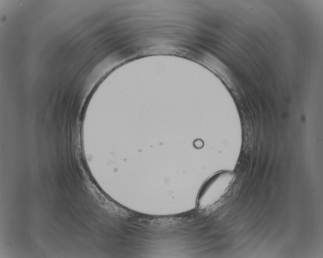 X0000067871000200605111755