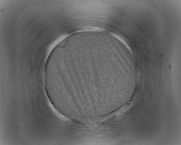 X0000067871003200605111755