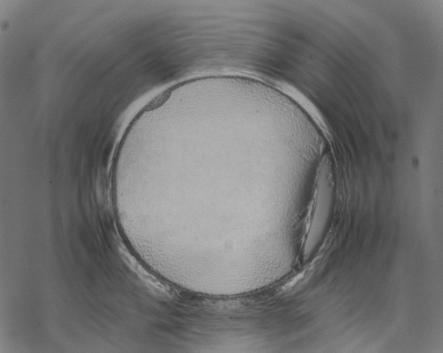 X0000067871004200605111755