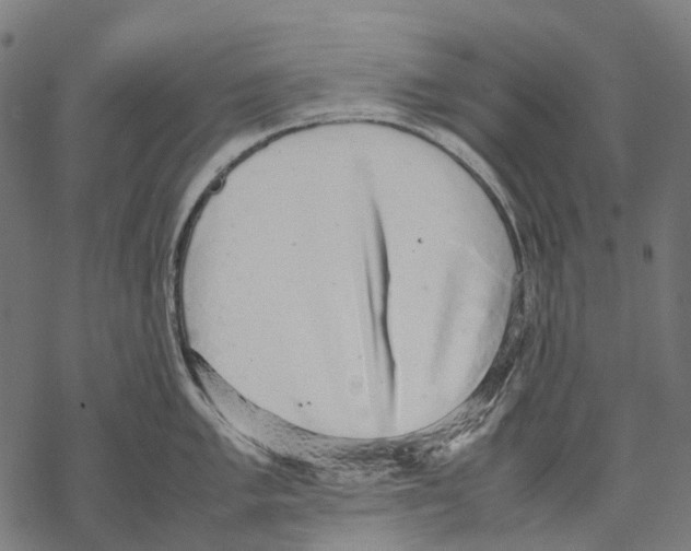 X0000067871005200605111755