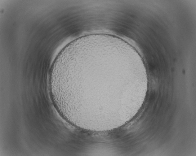 X0000067871006200605111755