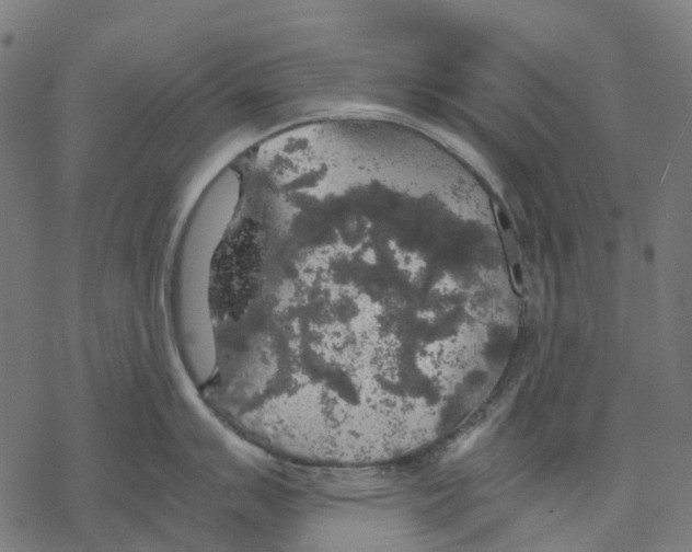 X0000067871007200605111755