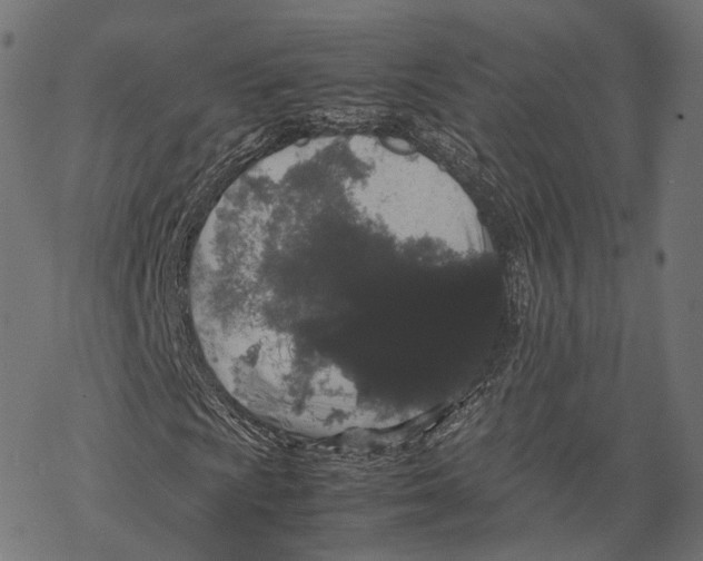 X0000067871009200605111754