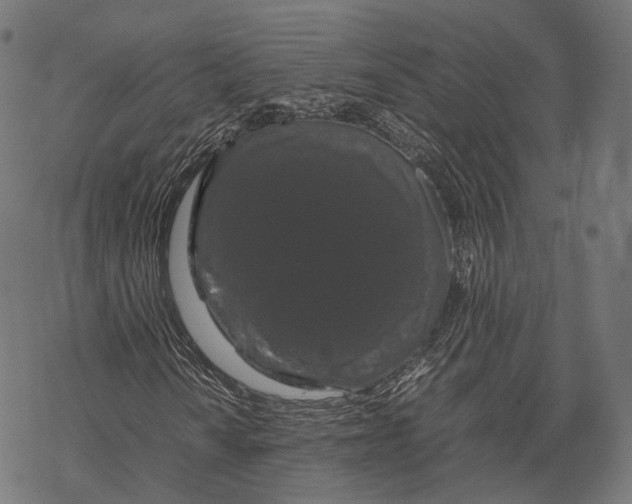 X0000067871010200605111754