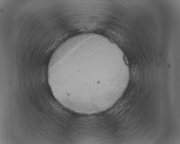 X0000067871012200605111754