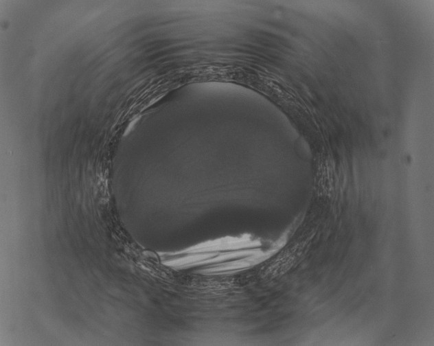 X0000067871013200605111754