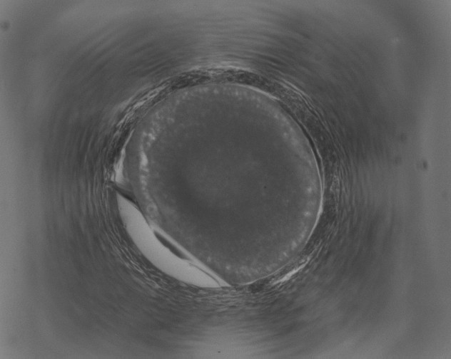 X0000067871014200605111754