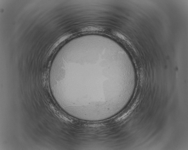 X0000067871017200605111754