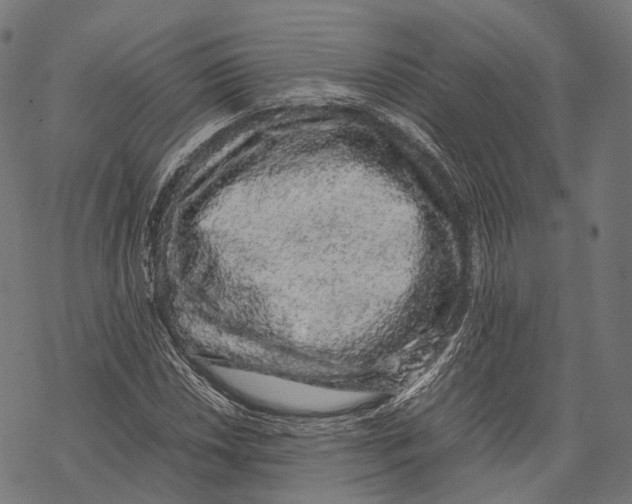 X0000067871018200605111754