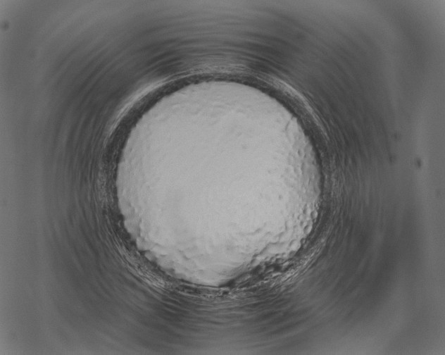 X0000067871019200605111754