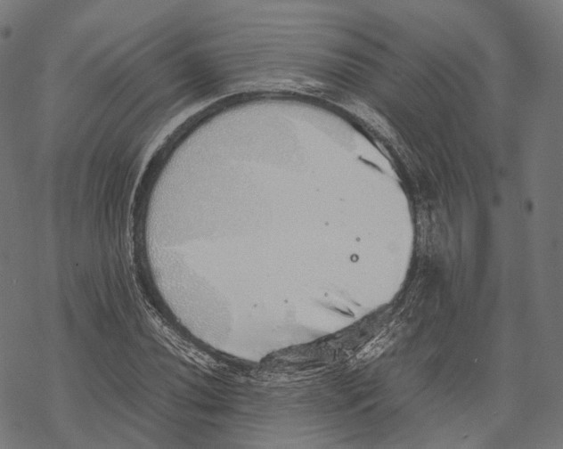 X0000067871020200605111754