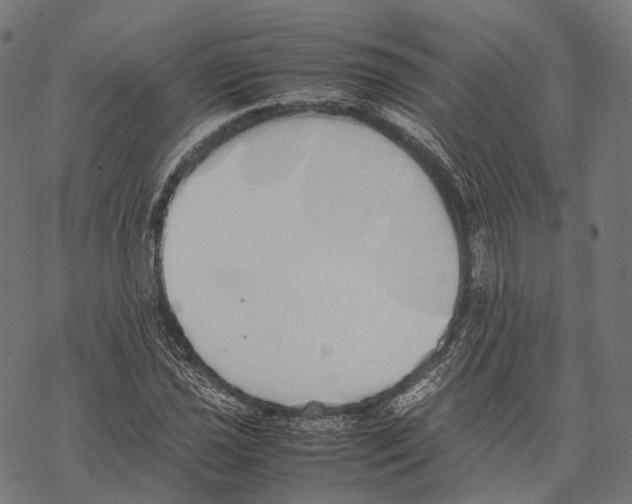 X0000067871021200605111754