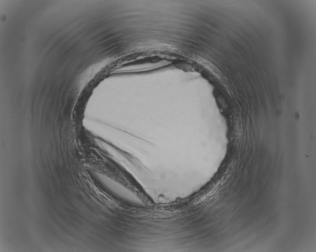 X0000067871022200605111754