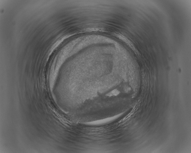 X0000067871023200605111754